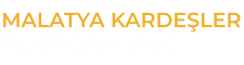 Malatya Kardeşler Platform Vinç